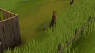 Runescape Tutorials: How to Hunt Using Falcons (Requires level 43 hunting)