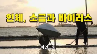 인체와 소금 바이러스에 대해