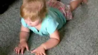 Hailey's Animal Sounds