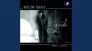 Ah Neyleyim Gönül