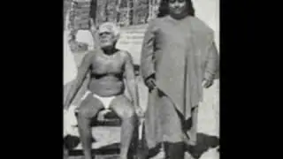 Dharma Buds - 