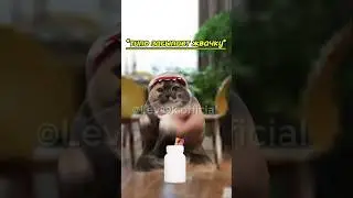 Лайфхак от коталого😂#хочуврек#котики#футажи#shorts Автор звука:@Малой