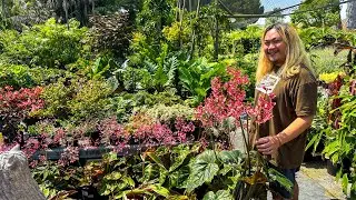 Nursery With Gorgeously Grown Classics & Illusive Plant Finds