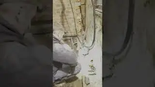 Прибудова      19 ноября 2022 г.