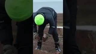 Экспедиция на остров Моржовец