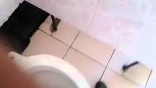video-2013-02-28-11-21-53