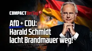 AfD + CDU: Harald Schmidt lacht Brandmauer weg!💥