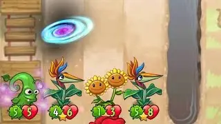 Stonk + Bird Of Paradise²