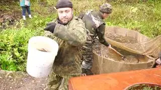 Выпуск рыбы 2019