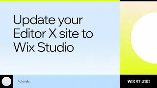 How to update your Editor X site to Wix studio