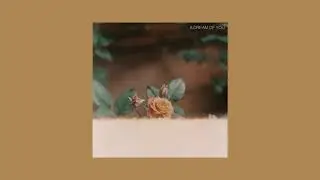 Far Caspian - A Dream of You