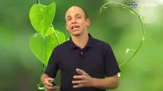 Biologia: Fotossíntese \\ Dynâmicon