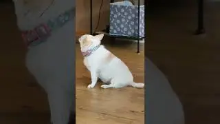 NO Spinning!! 
