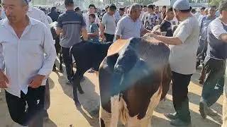 15.07.2026.Andijon Chuvama mol bozori ona bola bógoz ishqivozlariga.✅