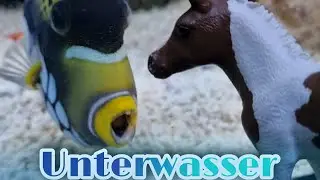 Schleich Film: Abenteuer Unterwasser [spannend]😍🐎🌊