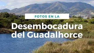 Excursión fotográfica📸 La desembocadura del Guadalhorce en Málaga