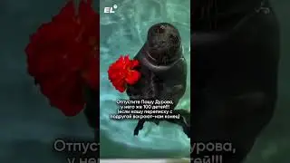 Кому тоже страшно?😂Залетай в тгк и забирай конспекты, которые спасут тебя, ссылка в шапке #биология