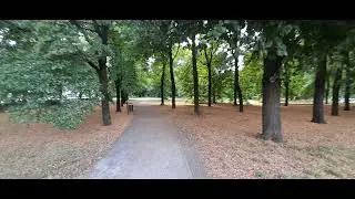 Ogród Saski #warszawa #przyroda