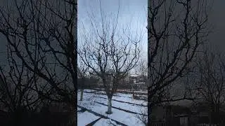 Меняю формировку сливы по принципу KGB.