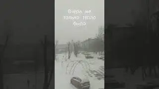 #shorts а ведь и вправду
