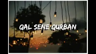 Qal sənə qurban - Habil Məmmədov və tələbələri