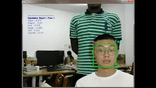 Real-time Facial Emotion Recognition with CNN (2020) from Normal Camera and Videos For Subject 8: