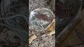 МОЩНЕЙШИЙ ШУРФ МЕТАЛЛА! 