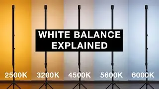How to PROPERLY set White Balance