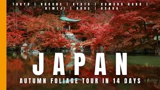 Autumn Trip in Japan: 14-Day Fall Color Itinerary with Kumano Kodo!