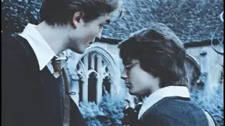 Harry & Cedric | I wasn't prepared for the end.