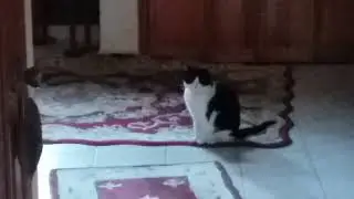 what are you doin?