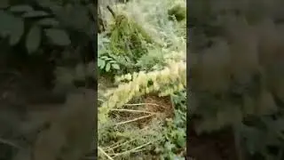 Боєць ЗСУ про чергову поїздку мера закордон