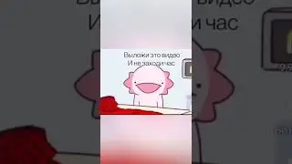 26 октября 2024 г.