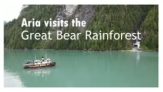 Aria visits the Great Bear Rainforest