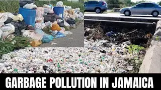 Garbage pollution in Jamaica: A call for action