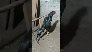 деман постарел но форму не потерял 😀👍💪