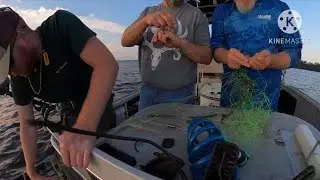 THIS FISH TOOK ALL OUR RODS OUT!