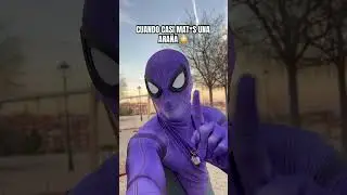 Cuando tienes MIEDO a las arañas PERO….  😳