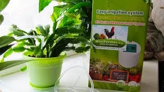 Automatic watering system for indoor plants MiniFermer