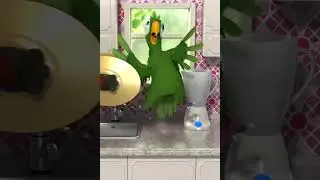 Untitled video