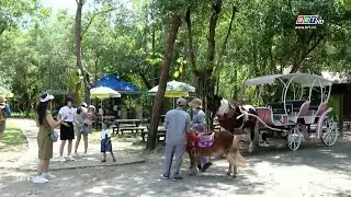 Bà Rịa - Vũng Tàu phát huy ưu thế, tiềm năng phát triển du lịch | BRTgo