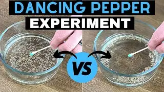 Pepper and Water Experiment | Soap and Pepper Trick