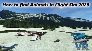 How to Find Animals (Fauna) in Flight Simulator 2020