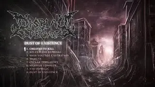 Display of Decay - 