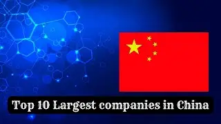 Largest companies in China 2023 | 中国