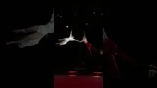 Олег Лыморев и Евгения Завадская. Цирковое шоу 