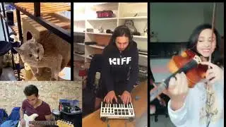 REACT to The Kiffness - Alugalug Cat (instant improvisation)