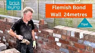 WHAT A JOB FLEMISH BOND Garden wall