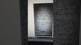 давай наперегонки