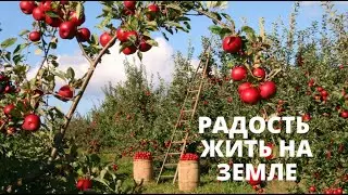 Гражданин и Земля. Фильм Вячеслава Пронина